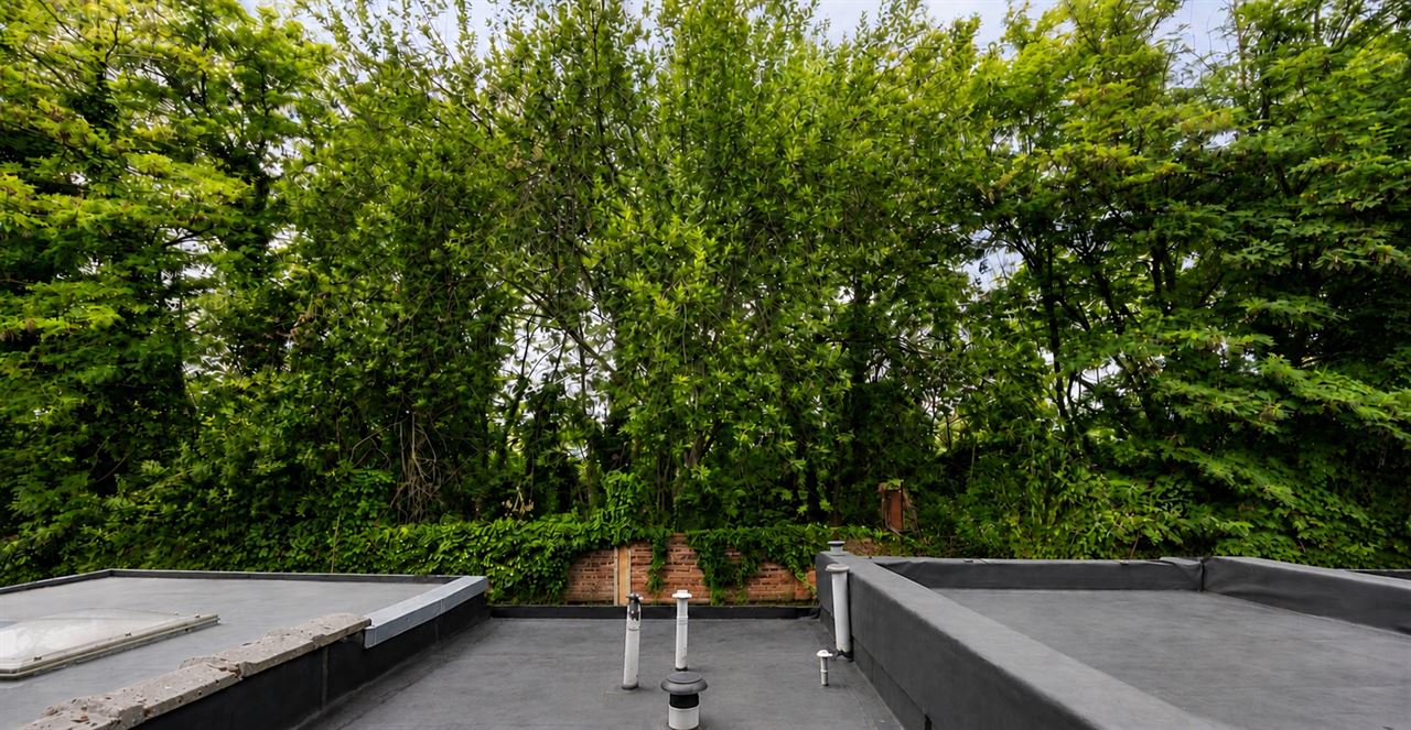 Lichtrijke, gerenoveerde woning in Boom