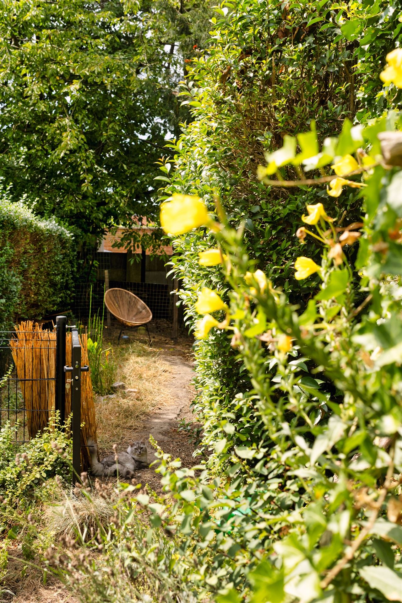 Rustig wonen aan het water met een zonnige, biodiverse tuin