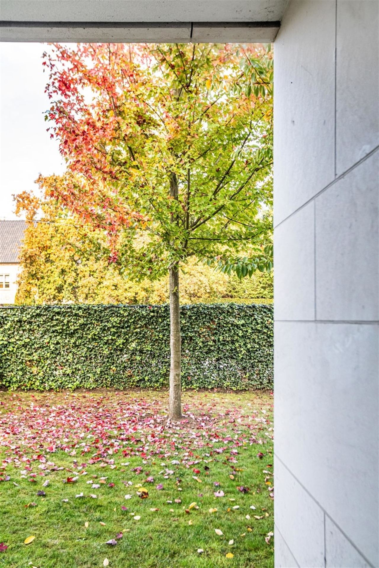 Lichtrijk gelijkvloers appartement met terras en tuinzicht