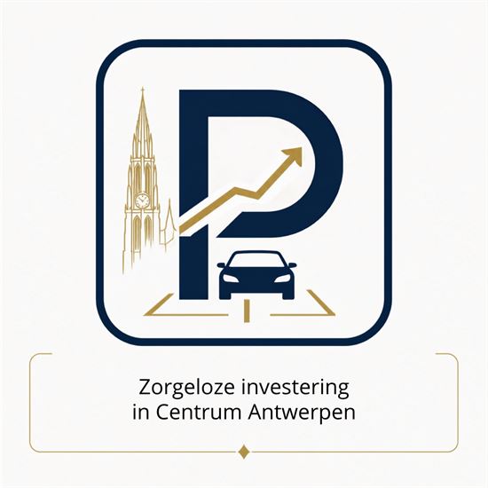 Pakket van 4 parkeerplaatsen in commerciële uitbating