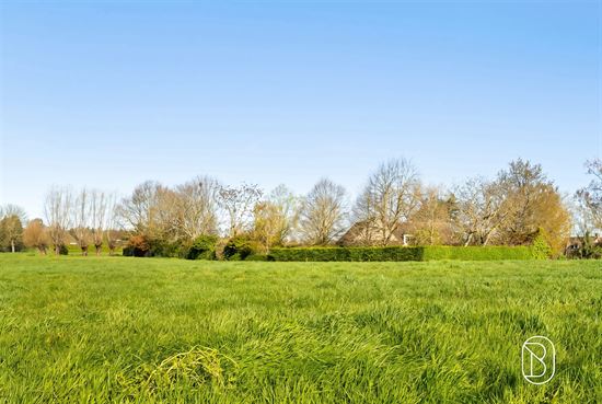 open-green-field-with-trees