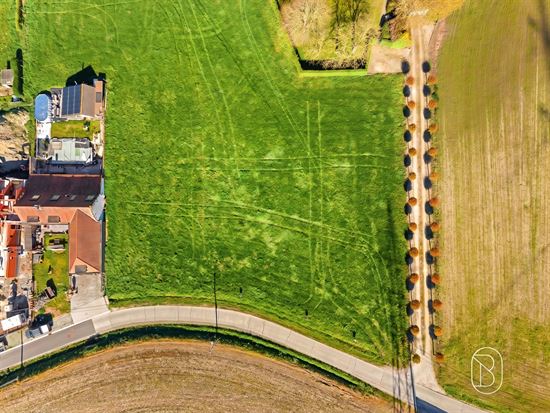 aerial-view-green-land-plot