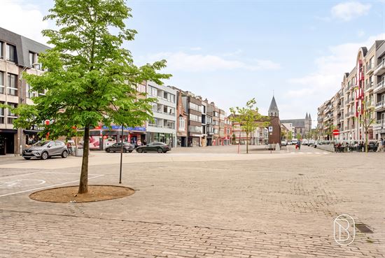 cobblestone-town-square-city-view
