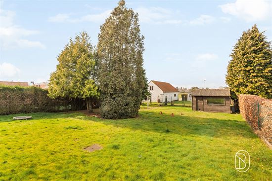 spacious-backyard-garden-with-shed