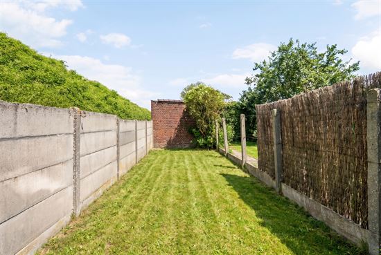 overgrown-backyard-with-concrete-wall
