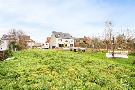 spacious-garden-with-modern-house