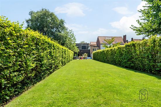 long-overgrown-garden-backyard