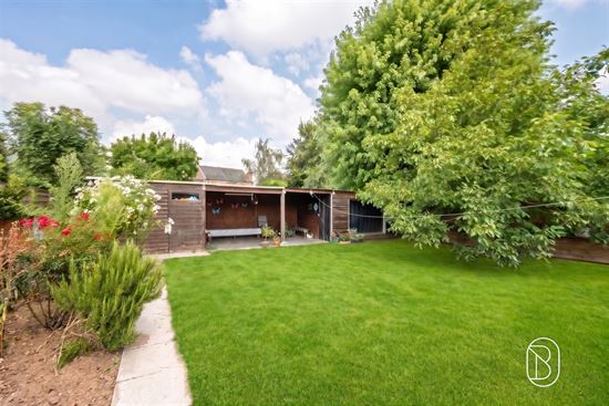 green-backyard-garden-with-wooden-shed