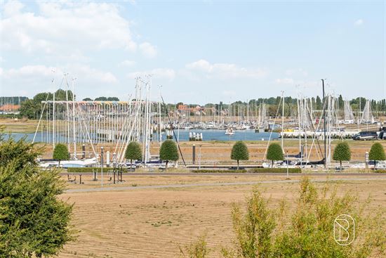FOTO - 21