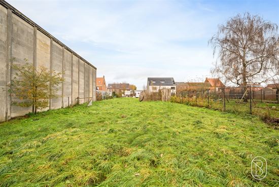 overgrown-green-building-plot