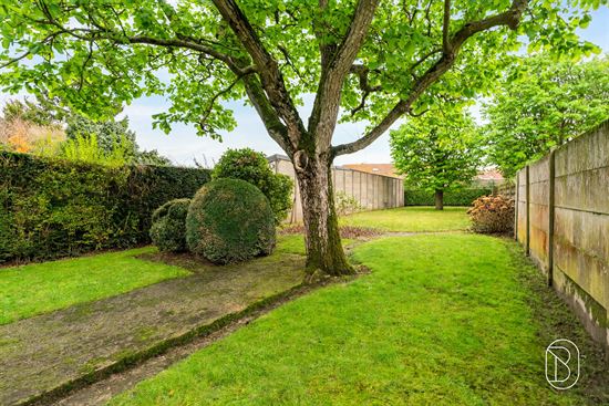 spacious-green-backyard-garden