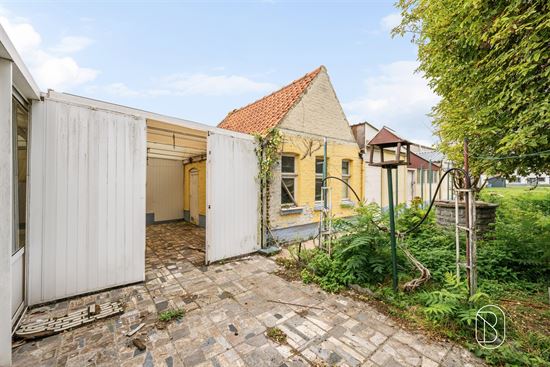 FOTO - 10