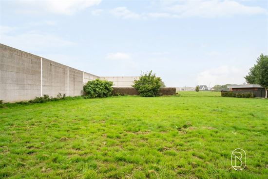 empty-plot-with-concrete-wall