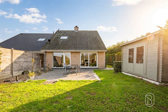 suburban-backyard-with-patio-and-shed