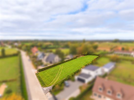 Scherp groen perceel in vervaagde omgeving