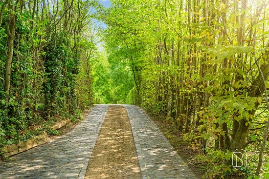tree-lined-cobblestone-driveway