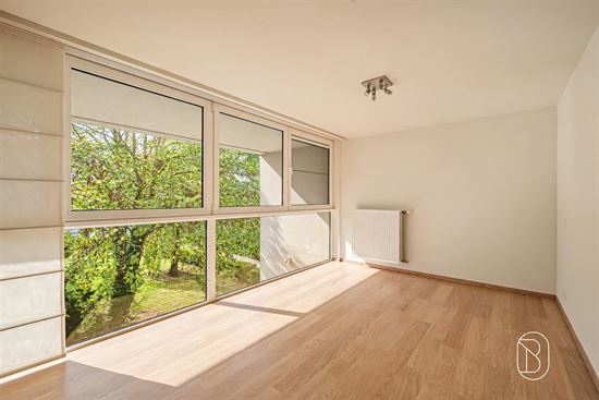 empty-bright-room-with-large-windows