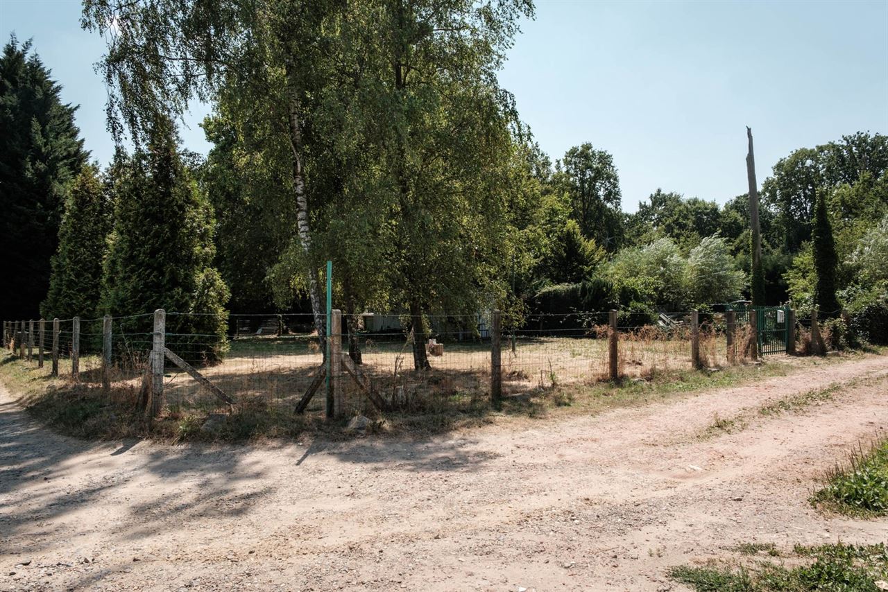 Prachtige grond te koop op Driebunder te Rillaar