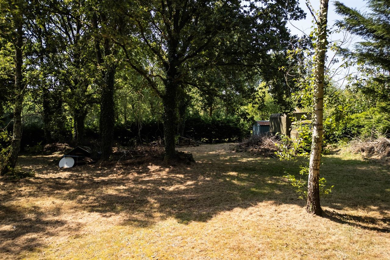 Prachtige grond te koop op Driebunder te Rillaar