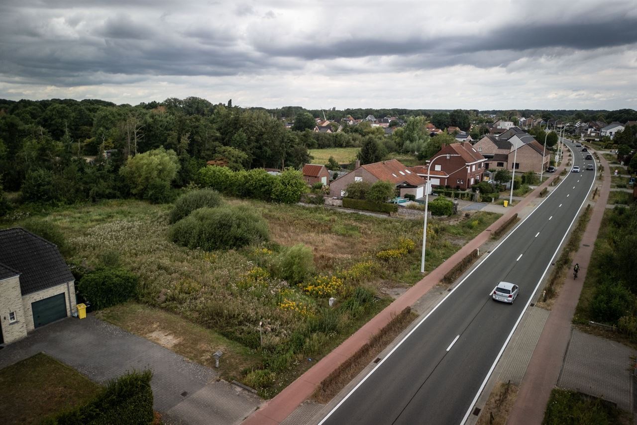 Op te delen bouwgrond te koop aan de Liersesteenweg in Begijnendijk - ontdek jouw mogelijkheden!