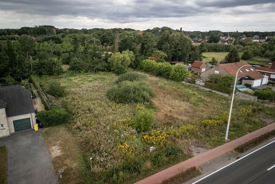 Op te delen bouwgrond te koop aan de Liersesteenweg in Begijnendijk - ontdek jouw mogelijkheden!