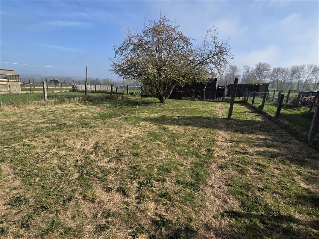 Foto 6 : eengezinswoning te 9500 Viane (België) - Prijs € 219.000