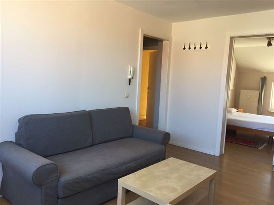 Charmant appartement 1 chambre