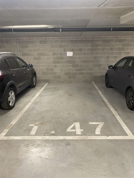 Parking/garage/box