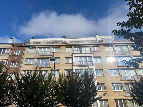 AVENUE GEORGE BERGMANN 65 ELSENE