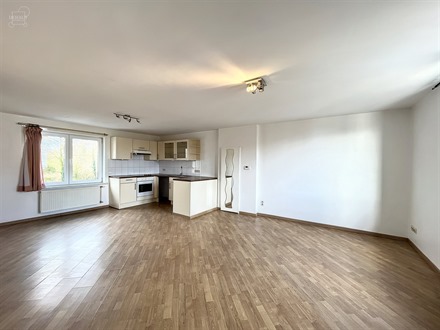 Bel appartement duplex au 1er étage proposant un hall d'entrée, un espace de vie ouvert sur cuisine équipée, un WC indépendant, 2 chambres et une...