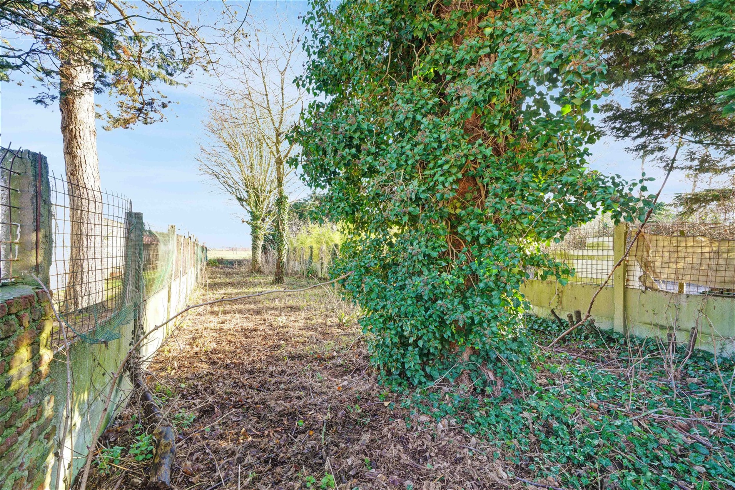 Maison de commerce d'env. 280m² avec jardin à rénover en plein coeur du centre ville de COMINES. Un bâtiment aux multiples possibilités.  
...