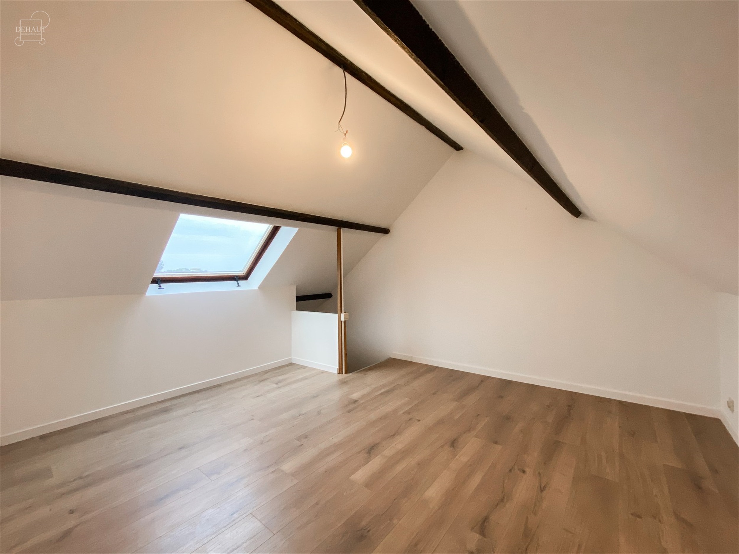 Jolie maison de ville rénovée comprenant un séjour, une cuisine équipée, une salle de bain et 3 chambres. 
Cave et jardin avec terrasse carrelé...