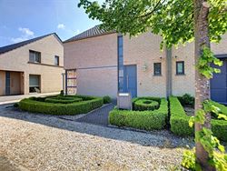 Image 1 :  IN 3803 SINT-TRUIDEN (Belgium) - Price 1.100 €