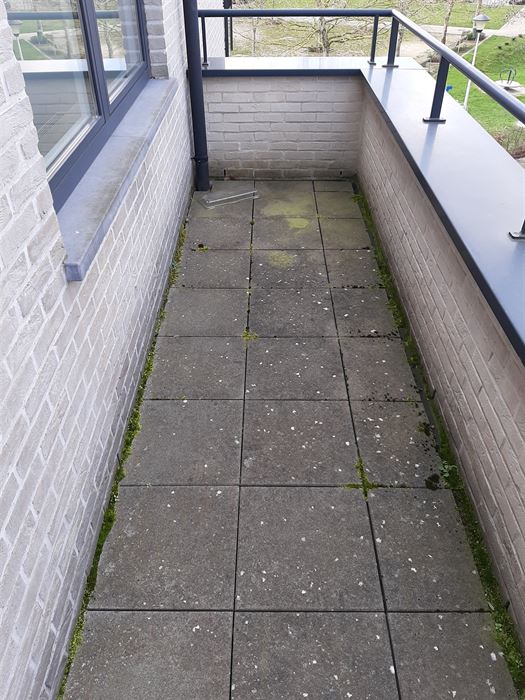 appartement met 1 slaapkamer