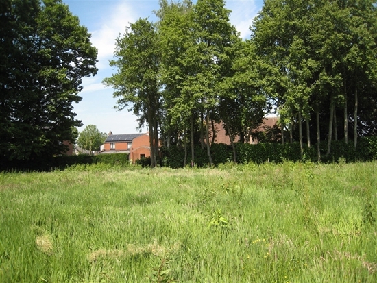 Residentieel gelegen bouwgrond