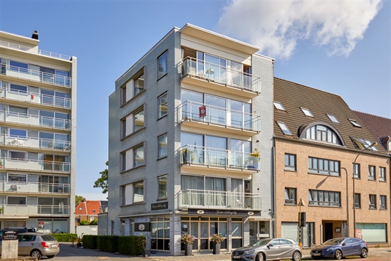 Ruim gerenoveerd 3 slaapkamer appartement