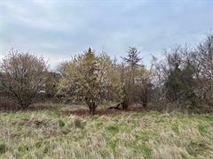 Foto 14 : Eigendom met karakter te 8310 SINT-KRUIS (België) - Prijs &euro; 680.000