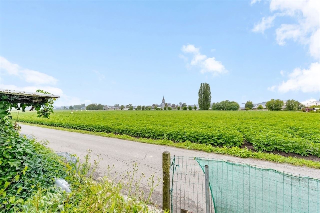 Vrijstaande woning met weidse tuin en renovatiepotentieel