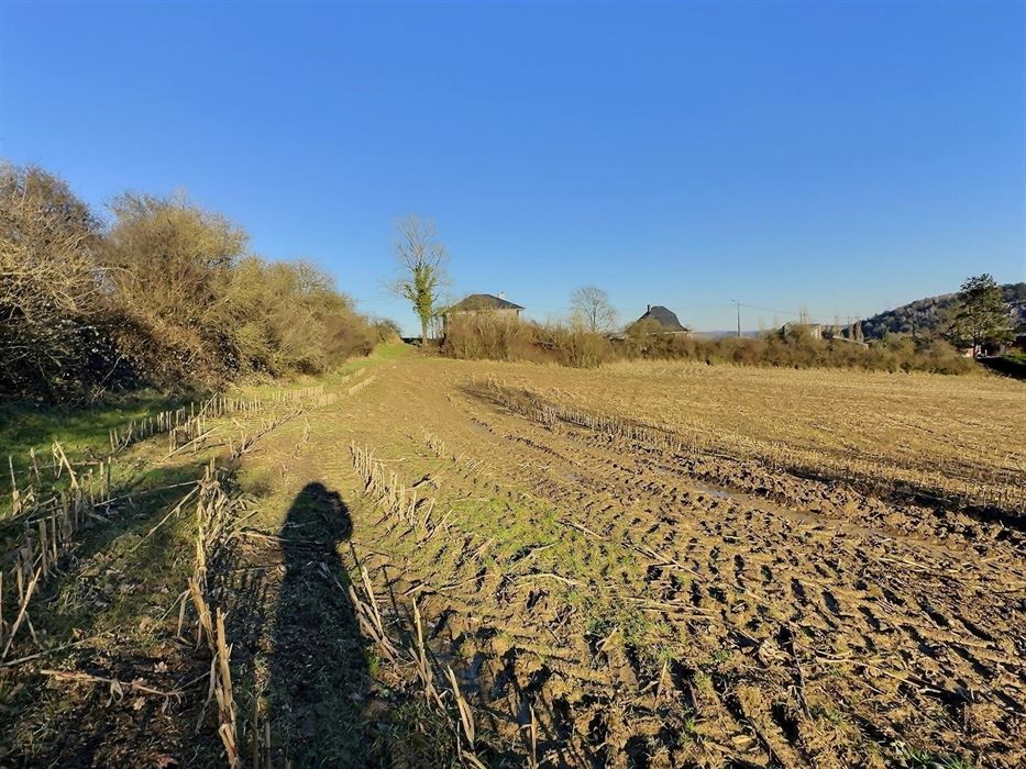 Terrain