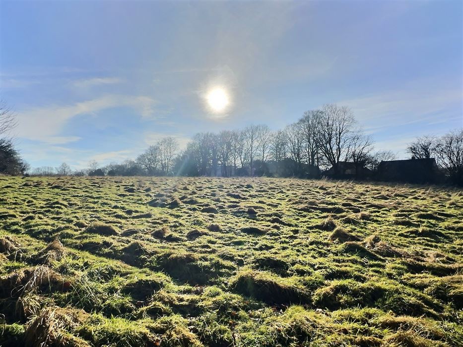 Terrain