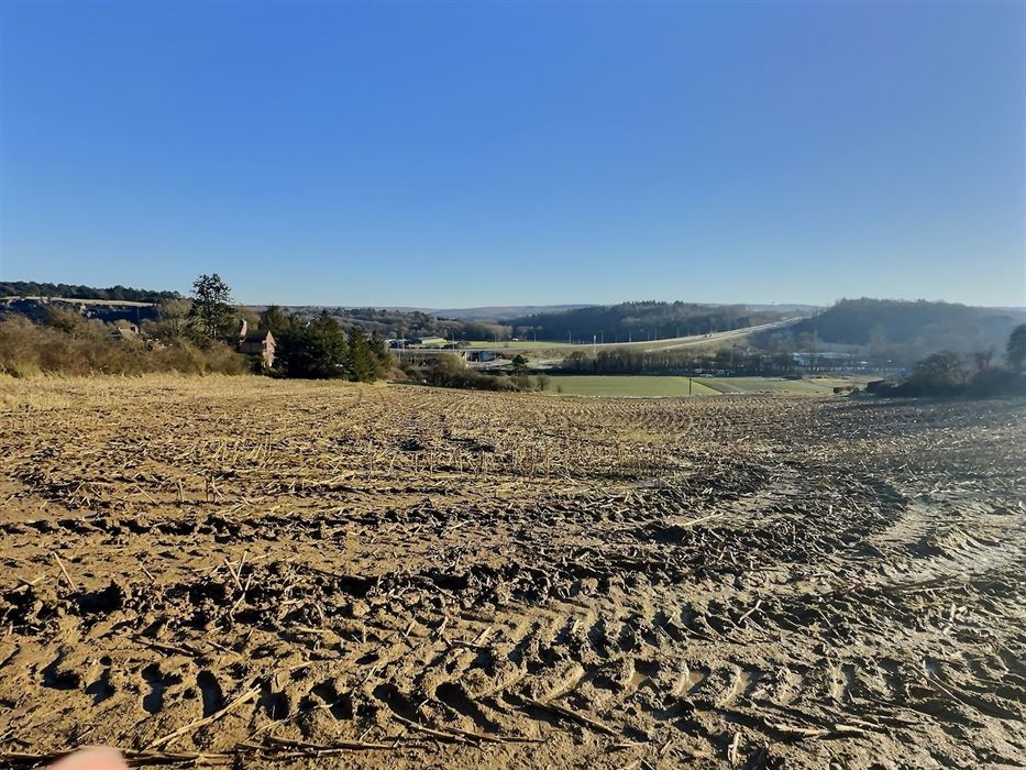 Terrain