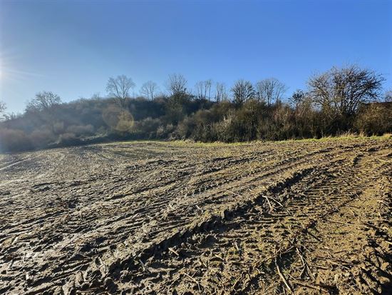 Terrain