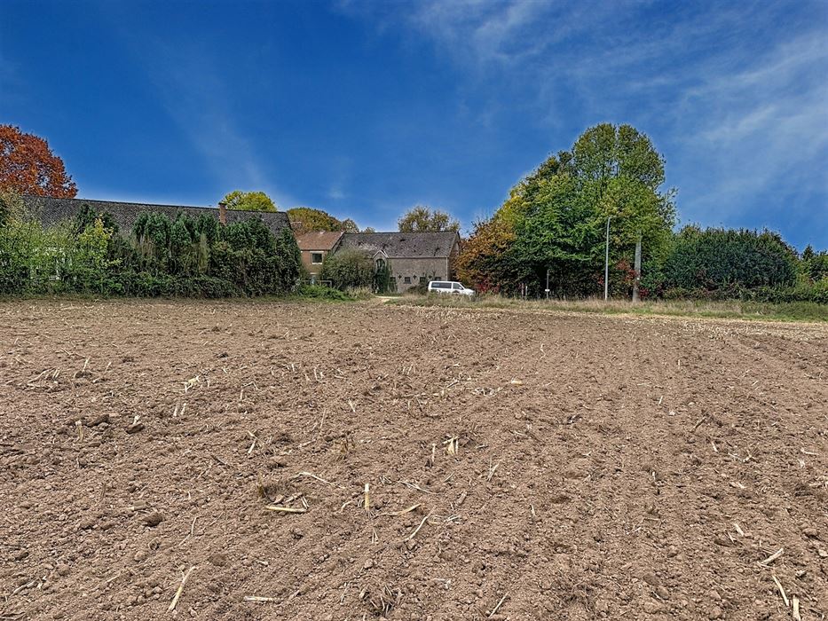 Terrain