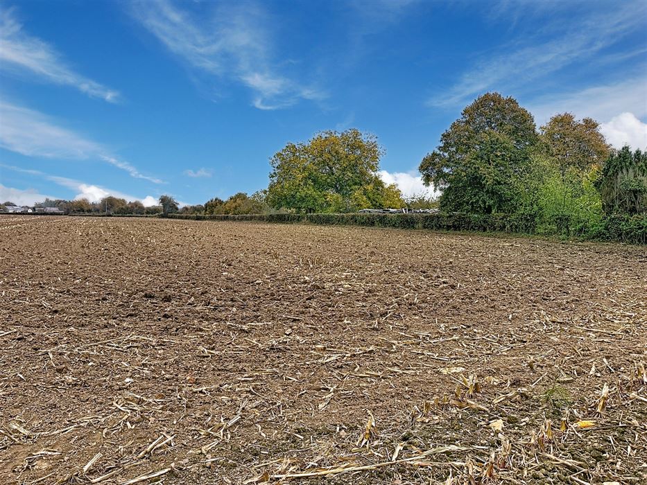 Terrain