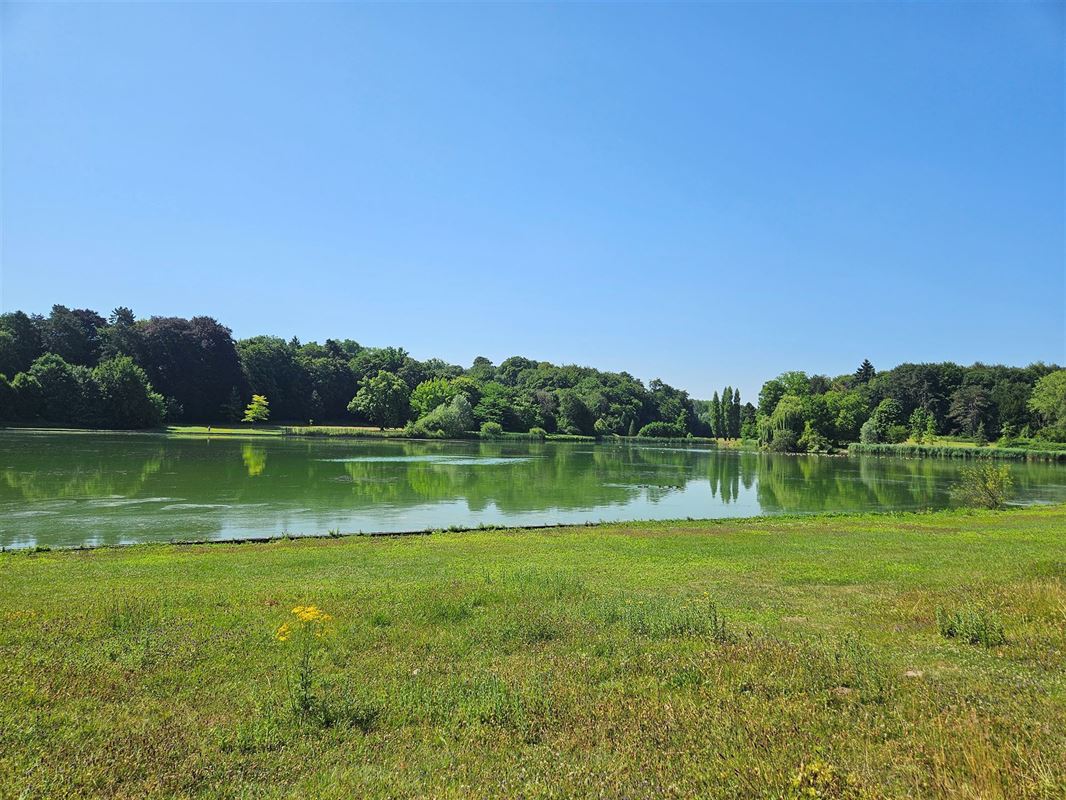 Image 15 : Villa à 3080 TERVUEREN (Belgique) - Prix 995.000 €