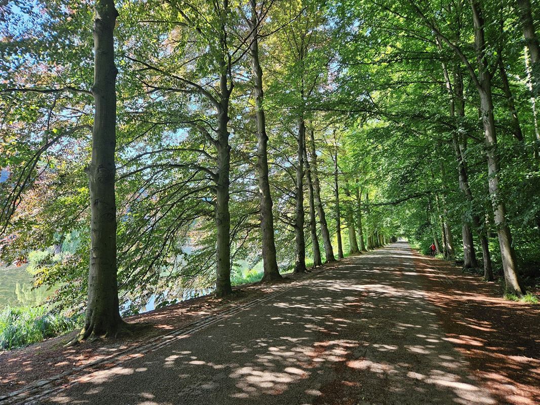 Image 16 : Villa à 3080 TERVUEREN (Belgique) - Prix 995.000 €