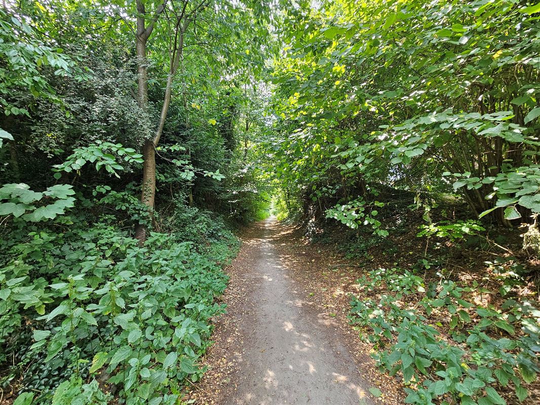 Image 15 : Villa IN 3080 TERVUEREN (Belgium) - Price 2.400 €