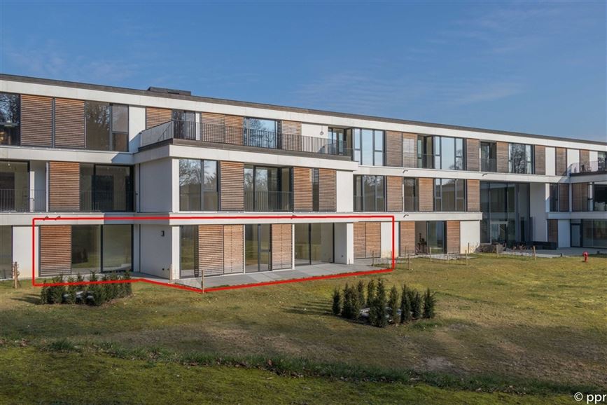 Appartement et Studio