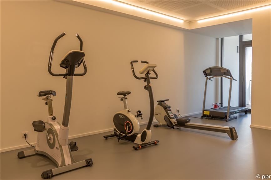 Appartement et Studio