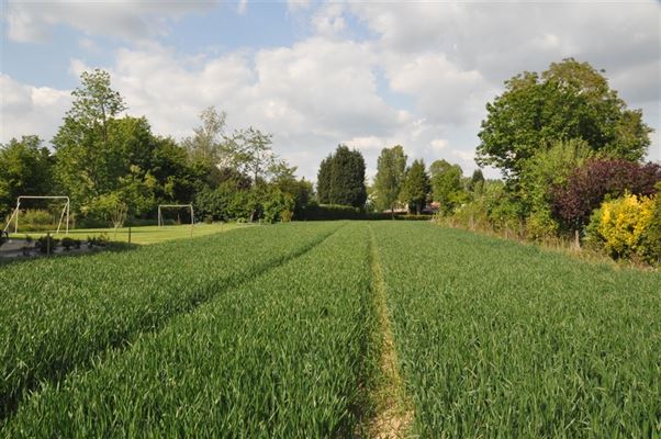 TERRAIN en ZONE D'HABITAT à front d'une voirie équipée, plat de ± 12 ares 51 ca - D’accès aisé à l’E-411 - Convient pour une unifamiliale